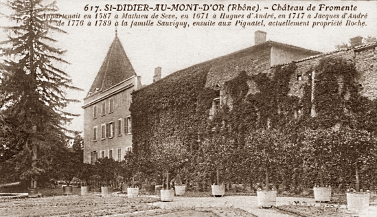 Le chteau de Fromente