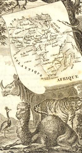 Afrique : gravure vers 1850