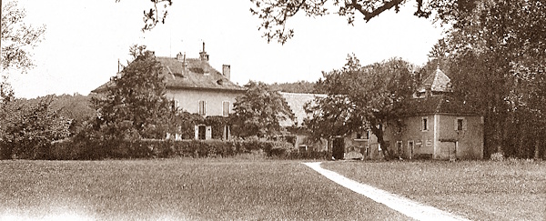 Bois d'Ely,  Crassier