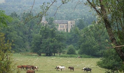 Le chteau de Sauveterre