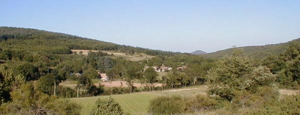 Navets du Pardailhan