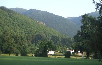 Dulaur de Durenque